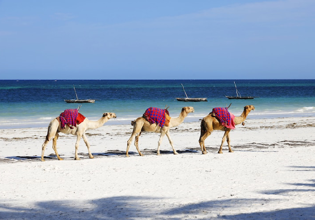 Kenya Group Tour